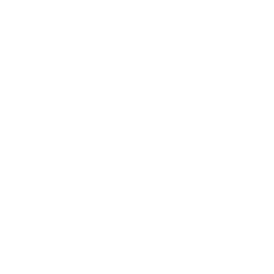 30+ Years Experience icon